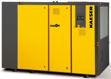 Винтовой компрессор Kaeser DSD 172 10 T
